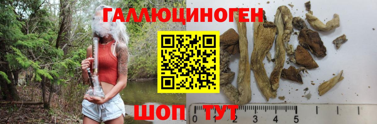 Кострома  Псилоцибиновые грибы Psilocybe  хочу   Вход с VPN 