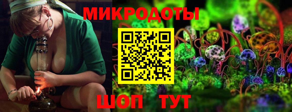 Псилоцибиновые грибы Psilocybine cubensis Кострома